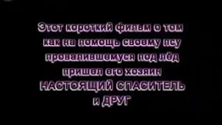 Смотреть всем! Как хозяин спасает своего собаку .. не забудьте поставить Лайк и подписываться