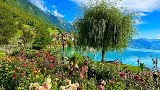 The Most Beautiful Village In Switzerland Oberried am Brienzersee || Swiss Valley Walking Tour