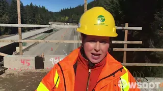 I-90 Wildlife Bridge Nears Completion