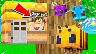 Minecraft, 100 GÜN BOYUNCA ARI OLARAK YAŞADIM