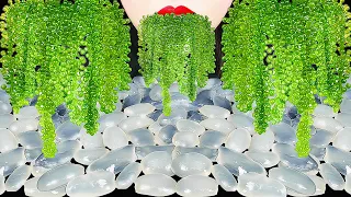 ASMR CLEAR FOOD 투명 디저트먹방 EDIBLE PEBBLES, SEA GRAPES CRUNCHY EATING SOUNDS BIRD GLASS DRINKING SOUNDS