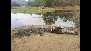 MAN EATING CROCODILE KAPOTO