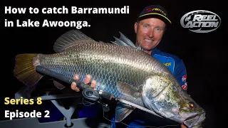 How to catch Barramundi in Lake Awoonga.