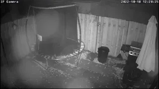 Mysterious Creature Caught On Security Camera! (Backyard Monster)
