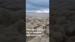 Pourquoi y a-t-il de la mousse sur nos côtes ?