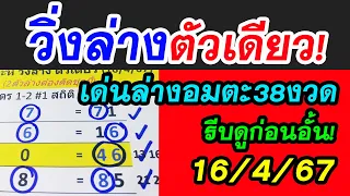 #วิ่งล่างตัวเดียว 16/4/67 เด่นล่างอมตะ 38รอบ! จับ3คู่