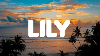 Lily - Alan Walker (Lyrics Mix)