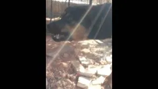 Rottweiler attack training