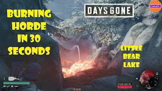 Days Gone: Easy Way to Kill Horde with Napalm Molotov in 30s, No Shots, No Damage - Little Bear Lake