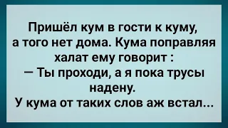 Кума Ненароком Соблазнила Кума! Сборник Свежих Анекдотов! Юмор!