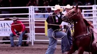 What is tie-down roping?