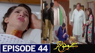 Mujhay Vida Kar Episode 44 Promo - Mujhay Vida Kar New Episode -Showbiz Click