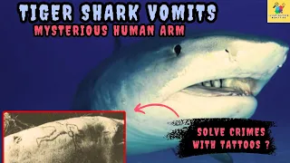 The Mystery of The Case of The Shark 'Vomiting' Human Arm ?