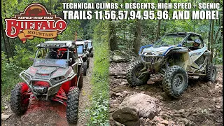 SXS's + UTV's Riding Buffalo Mountain on the Hatfield & McCoy Trails in West Virginia - EP:04