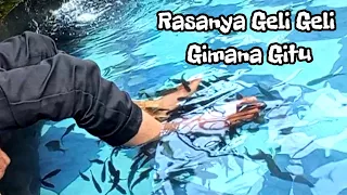 Rasanya itu Geli Geli gimana gituh " Terapi ikan