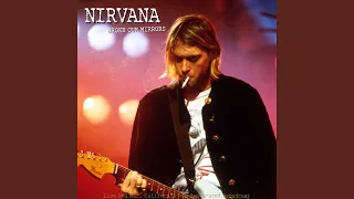 Smells Like Teen Spirit (Live)