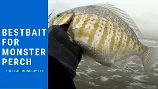 Surf Perch Fishing Tips Low Tide vs High Tide - Tips and Tricks #surfperch #surffishing