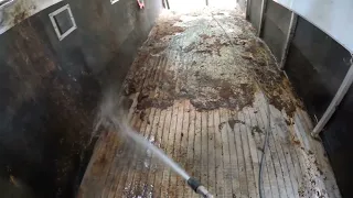 Horse Trailer Cleaning