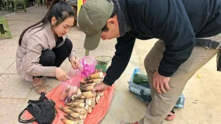 How to find bamboo shoots at the beginning of the season | bring it to the market to sell