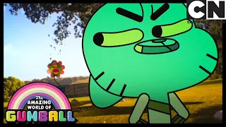 The Flower | Gumball | Cartoon Network