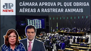 Análise de vetos no Congresso: “Saidinha” fica de fora da discussão; Dora Kramer e Vilela comentam