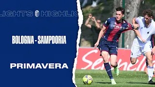 Bologna -Sampdoria Primavera | Highlights