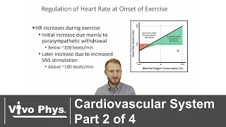 Cardiovascular System Part 2 of 4 - Cardiac Output