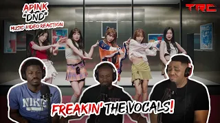 Apink "DND" Music Video Reaction