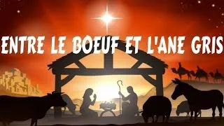 Entre le boeuf et l'âne gris - Chant de Noël avec orgue