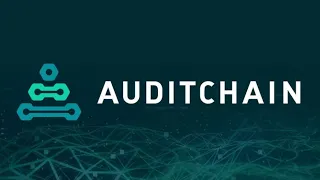 Auditchain - децентрализованная экосистема непрерывного аудита и протокола финансовой отчетности.