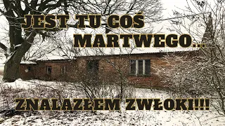 Porzucone gospodarstwo złego pszczelarza... #opuszczonemiejsca #urbex #opuszczone #opuszczonedomy