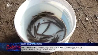 В Богородском выпустили рыбу