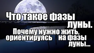 Что такое фазы луны.  Почему нужно жить, ориентируясь на фазы луны