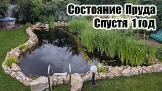 Состояние пруда спустя 1год