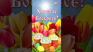 Христос Воскресе! Поздравление с Пасхой.