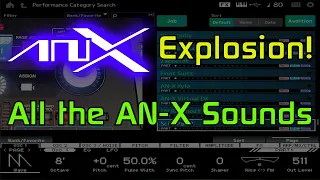 AN-X Explosion: All the AN-X Sounds on the new Montage M