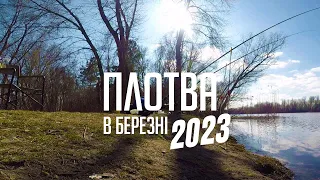 Плотва в березні. Рибалка в Черкасах 2023.