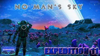 Chat & Chill - No Man's Sky Expedition 11 Voyager