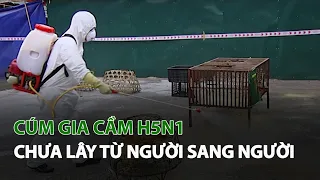 Cúm Gia Cầm H5N1 chưa lây từ người sang người| VTC14