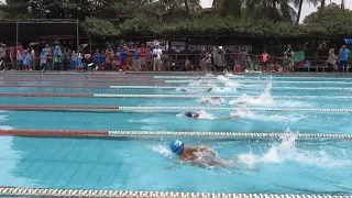 (KBoy San Choi) 7 Year Children 50 meter FreeStyle/ Swimming Competition/ Expat Life/ Expat Kids