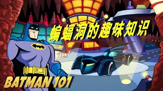 蝙蝠洞的趣味知识 | Batman 101 中文版  | DC Kids