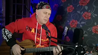 Кавер Веселье новогоднее