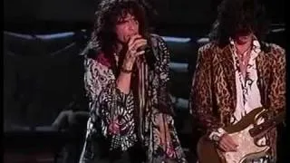 Aerosmith Fever Live Woodstock 94