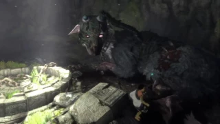 The Last Guardian Walkthrough Gameplay Part 1 - Saving Trico