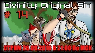 [Стрим] Divinity: Original Sin # 14. Тенебрий, магия и 2 дебила