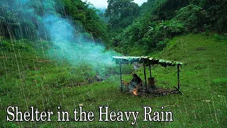 Make a shelter, find Wild Food in Heavy Rain: Survival Alone | EP.157