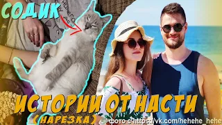 МИКРОКРИНЖОВЫЕ истории жены ДЖО СПИНА! **ЖИЛА В ЛЕСУ?** | НАРЕЗКИ НАСТОЛЬЖИ?  Sodaeffect GTA5online