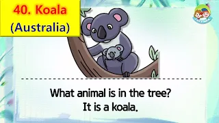 80 Animals | Unit 40 - Forest | Koala