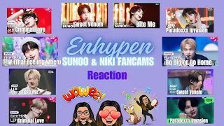 Enhypen: Sunoo & Ni-ki Fancams | Sweet Venom, Bite Me, Criminal Love, and More | Reaction