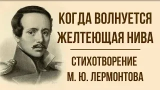 «Когда волнуется желтеющая нива» М. Лермонтов. Анализ стихотворения